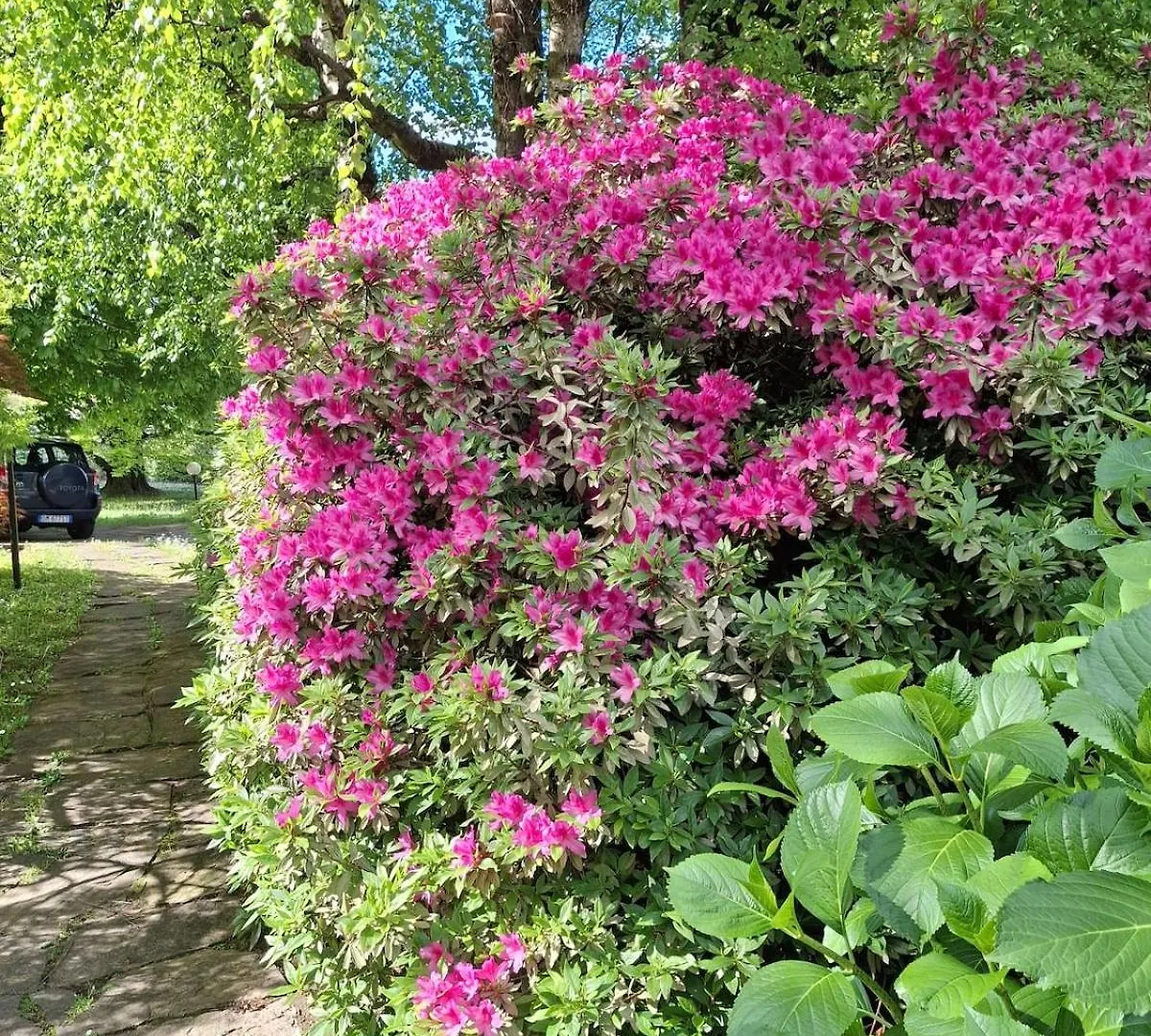 Rosen Garden Apartment Malgrate